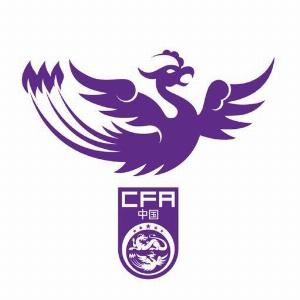 U18女足集结备战！王洪亮领衔，姜宁助阵，球员数据展现实力